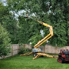 Best Tree Risk Assessment  in Linden, TN