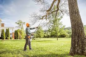 Best Lawn Grading and Leveling  in Linden, TN