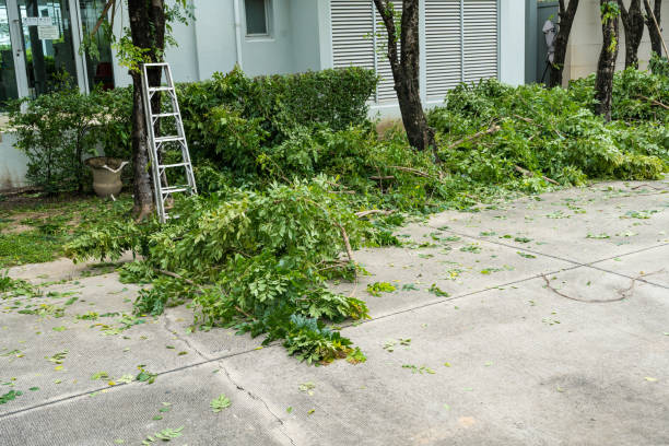 Best Firewood Processing and Delivery  in Linden, TN