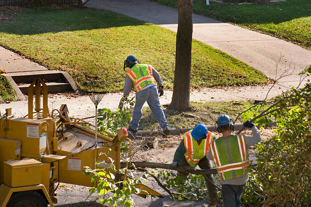 Best Lawn Watering Services  in Linden, TN